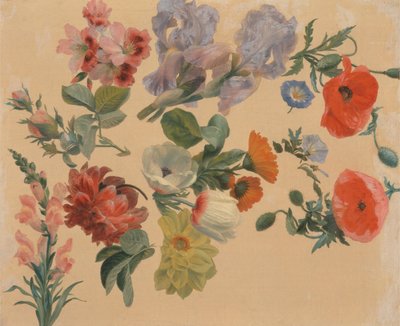 Études de fleurs d